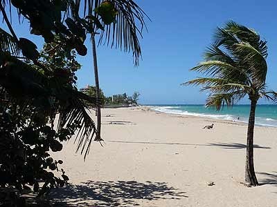 Ocean Park Beach is just a five minute walk away.