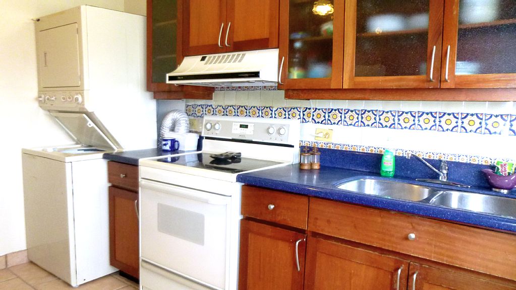 Fully equipped kitchen with washer and dryer.