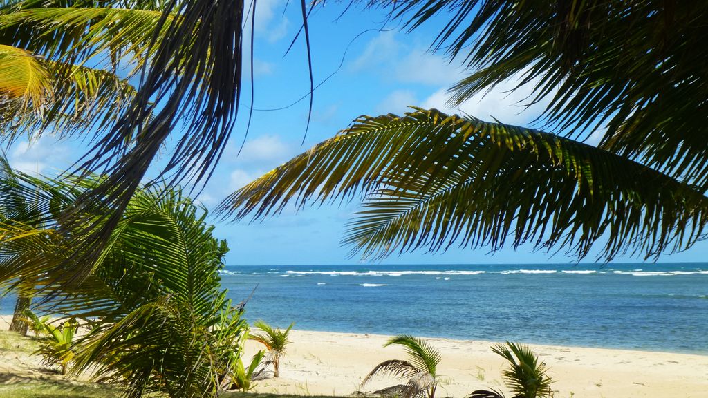 Perfect spot for your vacation on the beach