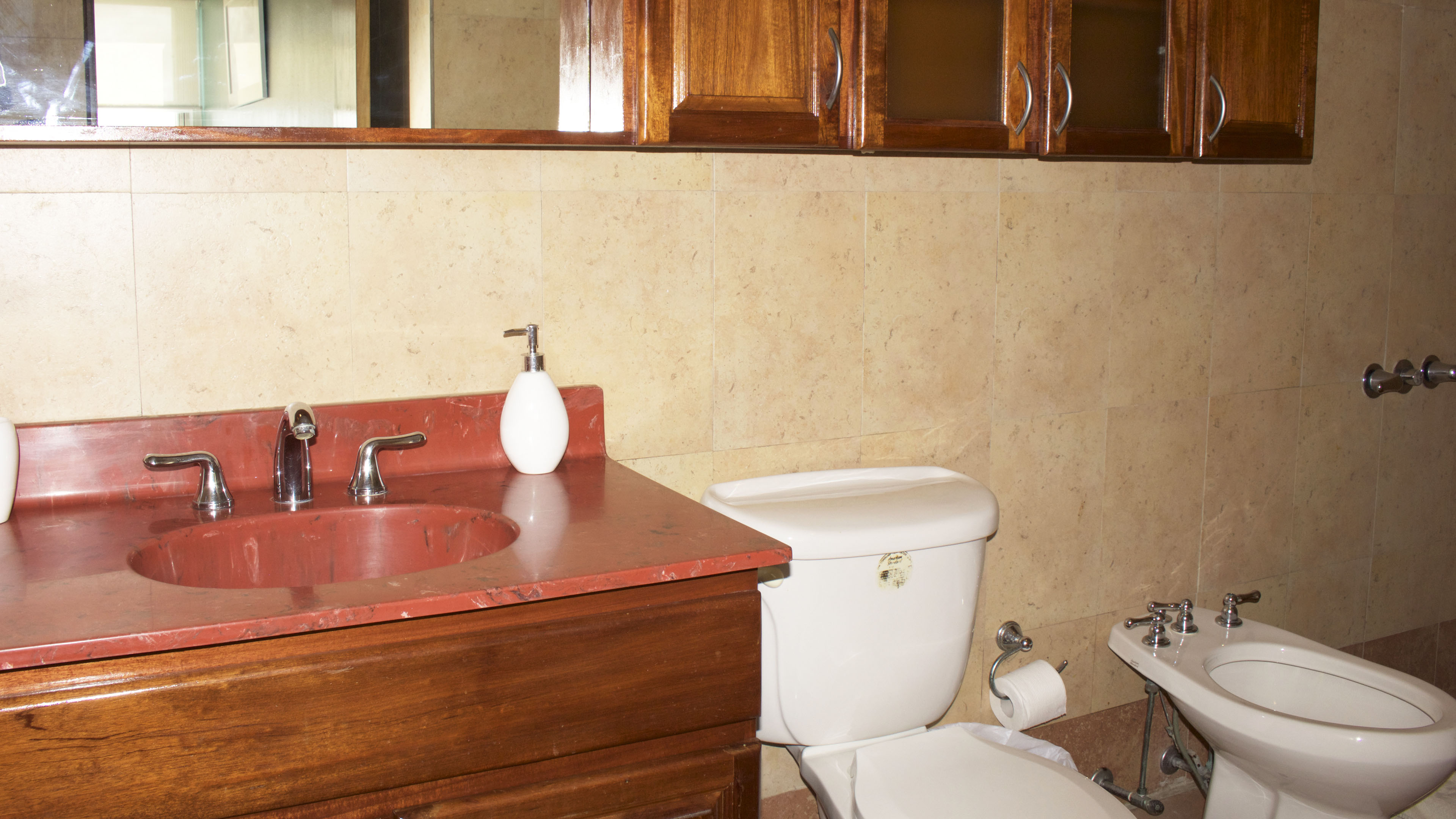 Master bathroom has a shower and bidet.